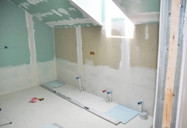 Best Real Estate Mold Inspection  in Lone Tree, CO