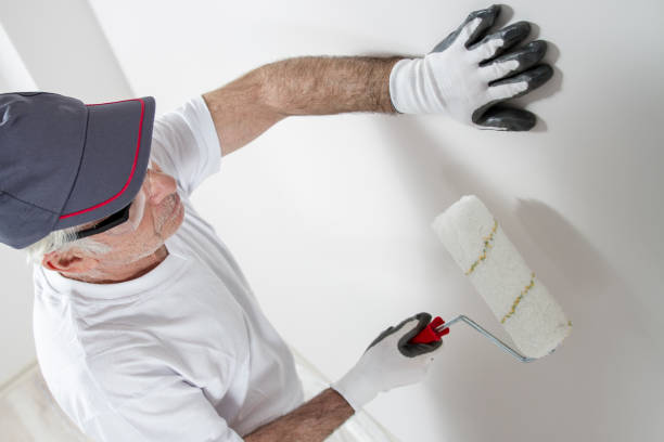 Best Mold Damage Restoration  in Lone Tree, CO