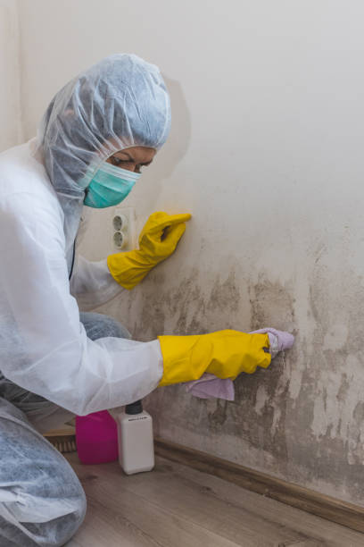 Best Residential Mold Inspection & Testing  in Lone Tree, CO