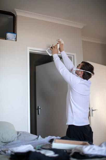Best Mold Prevention Services  in Lone Tree, CO