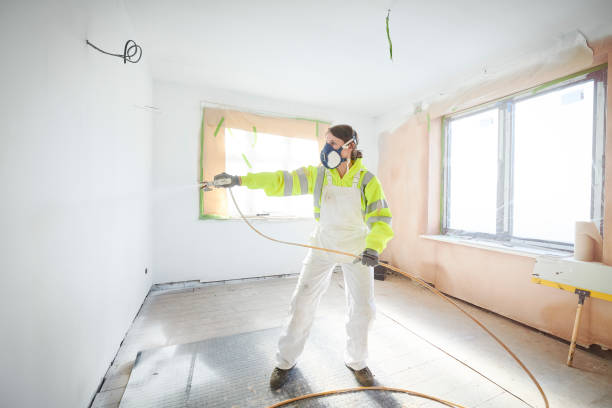 Best Attic Mold Removal  in Lone Tree, CO