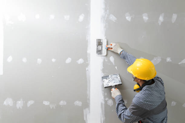 Best Airborne Mold Testing  in Lone Tree, CO