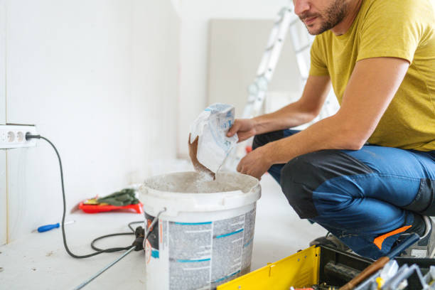 Reliable Lone Tree, CO Mold Removal Solutions