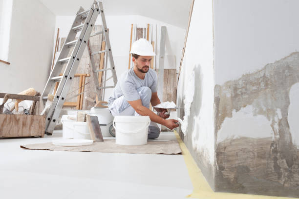 Best Mold Remediation for Healthcare Facilities  in Lone Tree, CO
