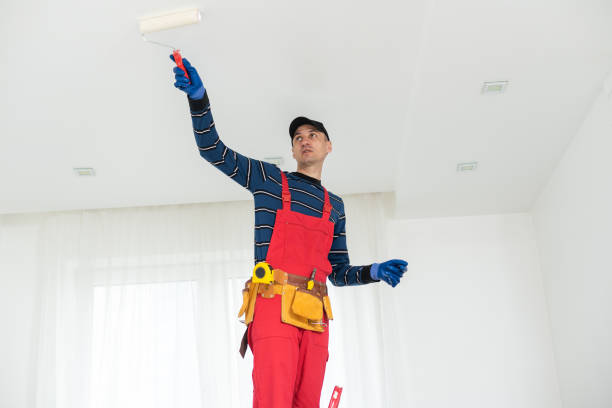 Best Dehumidification Services  in Lone Tree, CO