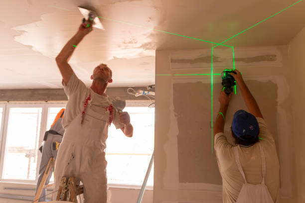 Lone Tree, CO Mold Removal Company