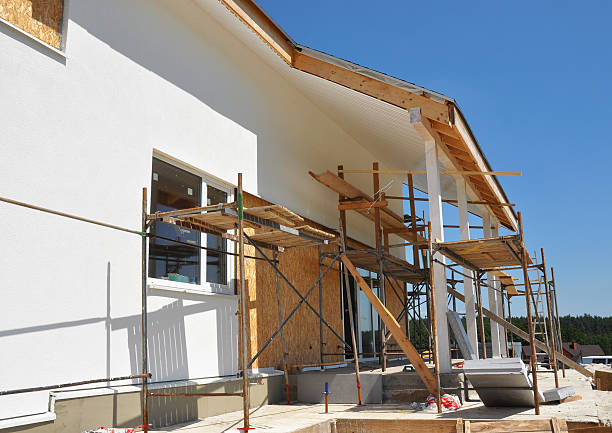 Mold Remediation for Vacation Homes in Lone Tree, CO