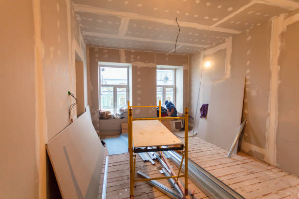 Best Mold Removal for HVAC Installations  in Lone Tree, CO